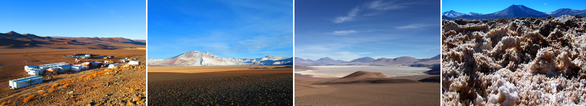 星空官方網(wǎng)頁(yè)版