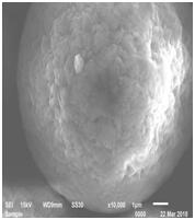 星空官方網(wǎng)頁版