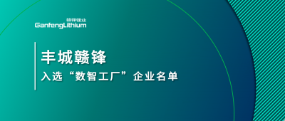 豐城星空體育入選江西省2025年首批“數智工廠”示范企業